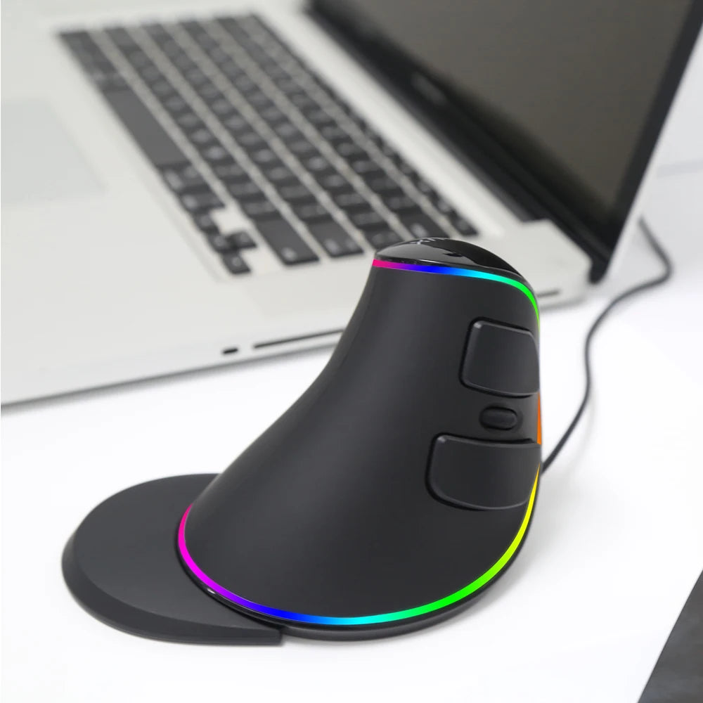 Delux M618 PLUS Ergonomics Vertical Gaming Mouse 6 Buttons 4000 DPI RGB Wired/Wireless Right Hand Mice For PC Laptop Computer
